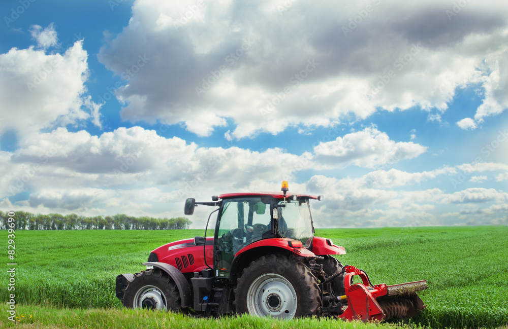 Fototapeta premium Red tractor mows the grass.