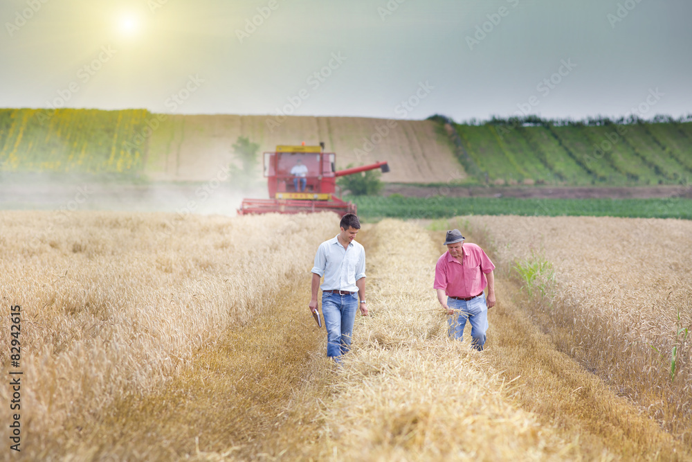 Business partners on wheat field