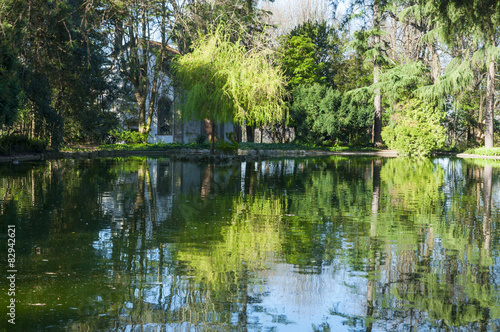 Park inside the Palacio do Cristal, Porto, Portugal