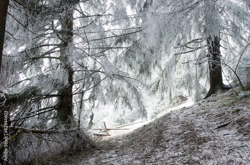 Wallpaper Mural winter calm mountain landscape Torontodigital.ca