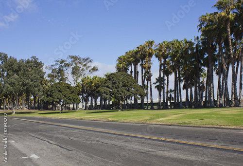Street and palms along San Diego Coastline in a sunny day 