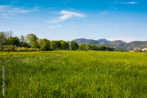 Campi ulivi prati, Paesaggio di campagna Toscana, agricoltura photo