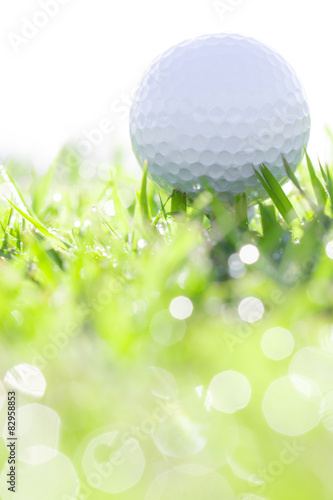 golf ball on grass with water drops