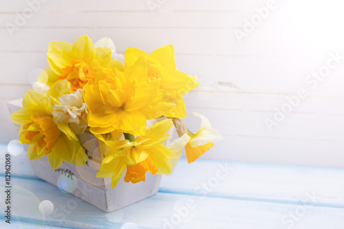 Background with fresh narcissus in wooden pot