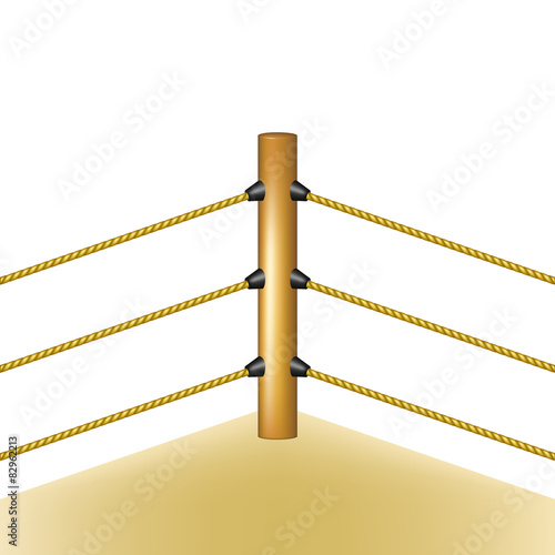 Fototapeta Naklejka Na Ścianę i Meble -  Boxing ring with brown ropes 