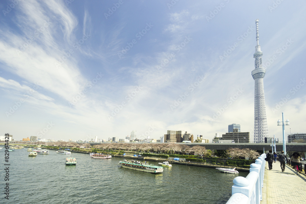Naklejka premium 東京スカイツリーと隅田川満開の桜と花見を楽しむ人々