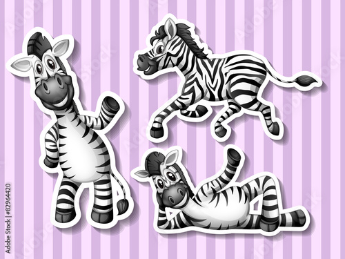 Zebras