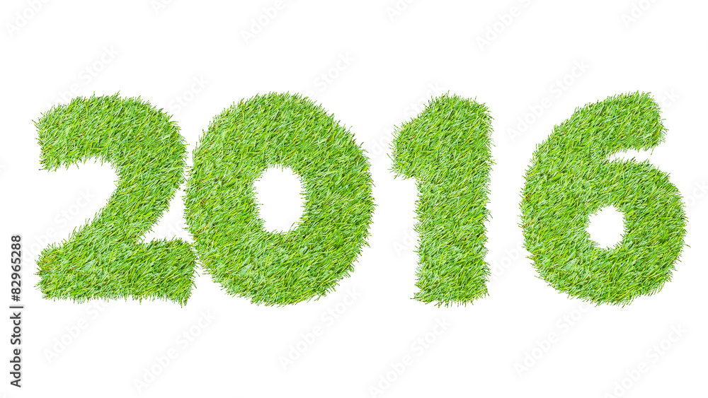 2016, New year made from the green grass, isolated on white can 2016, New year made from the green grass, isolated on white can