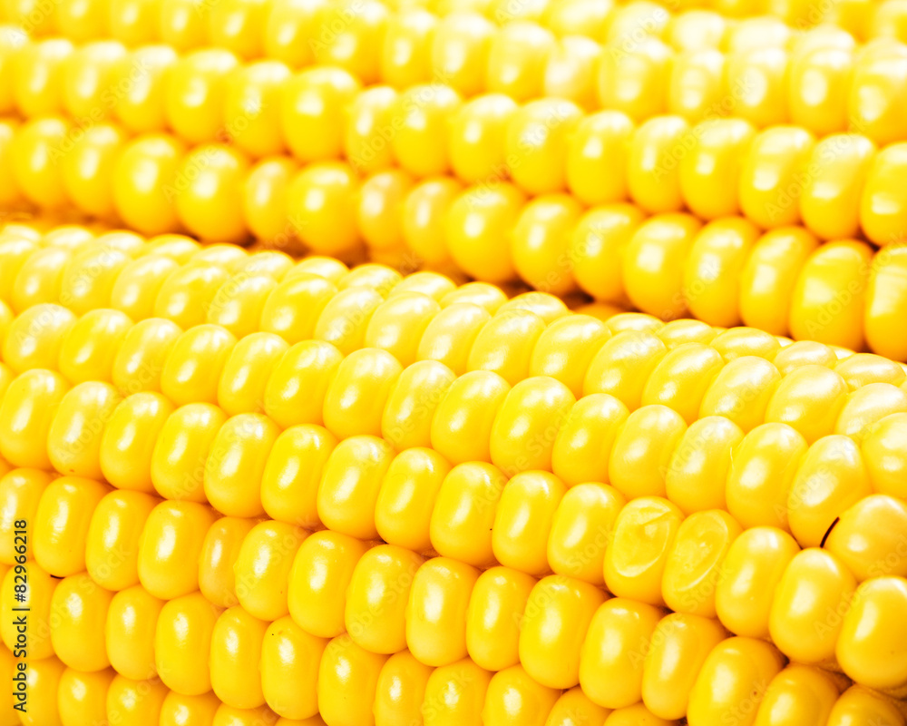Corn Corn
