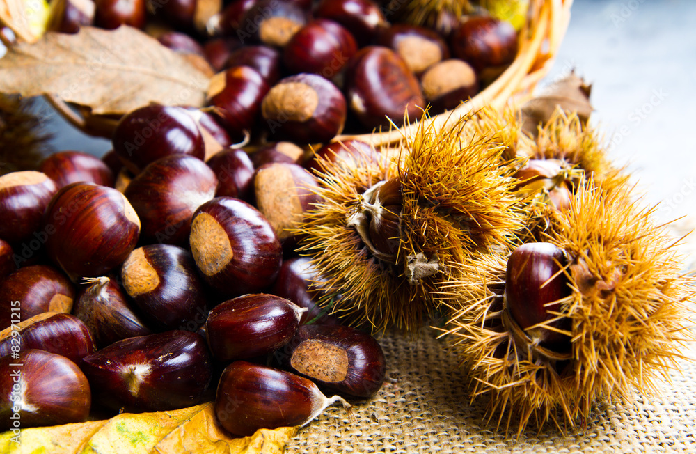 chestnuts chestnuts