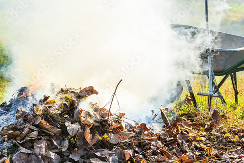 Burning autumn leaves in the garden