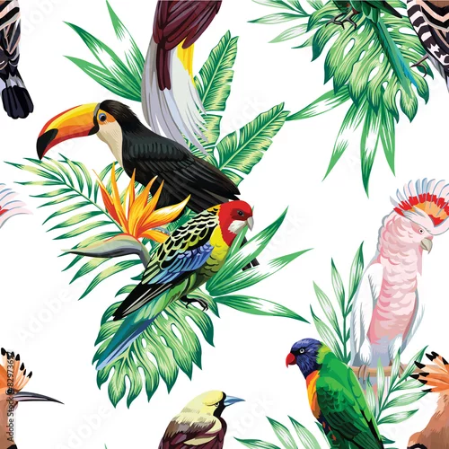 Tapety wzór tropikalnych ptaków i liści palmowych