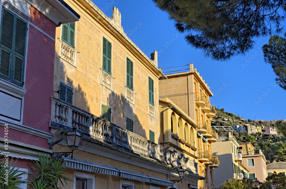 Naklejka premium bonassola