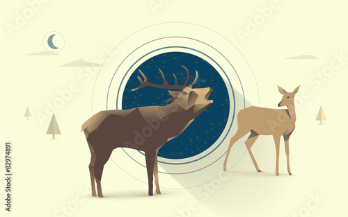 polygonal illustration of deer and doe, couple in love