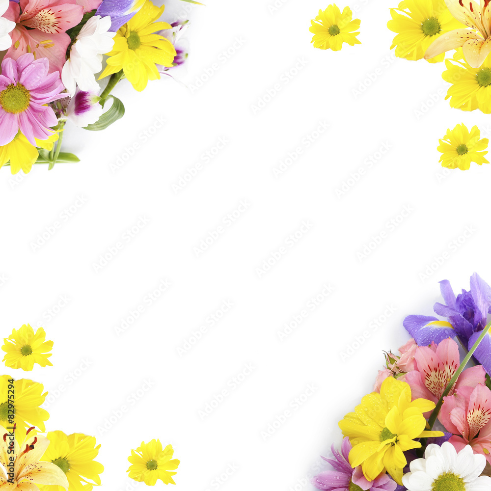 Frame of beautiful flowers isolated on white Frame of beautiful flowers isolated on white