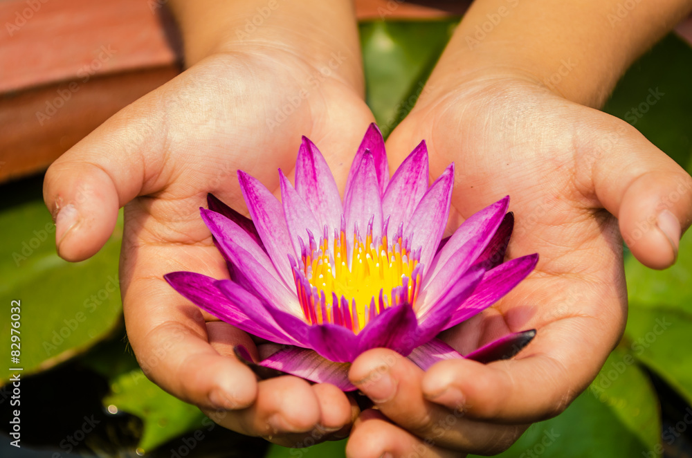 Fototapeta premium Flowers in hand