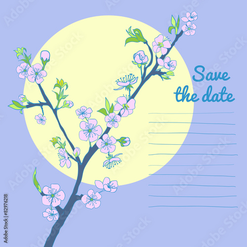 Flowering cherry branch on background of moon