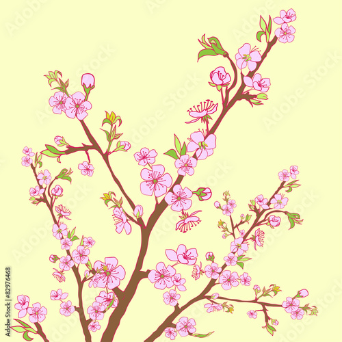 Flowering cherry branch.Vintage background