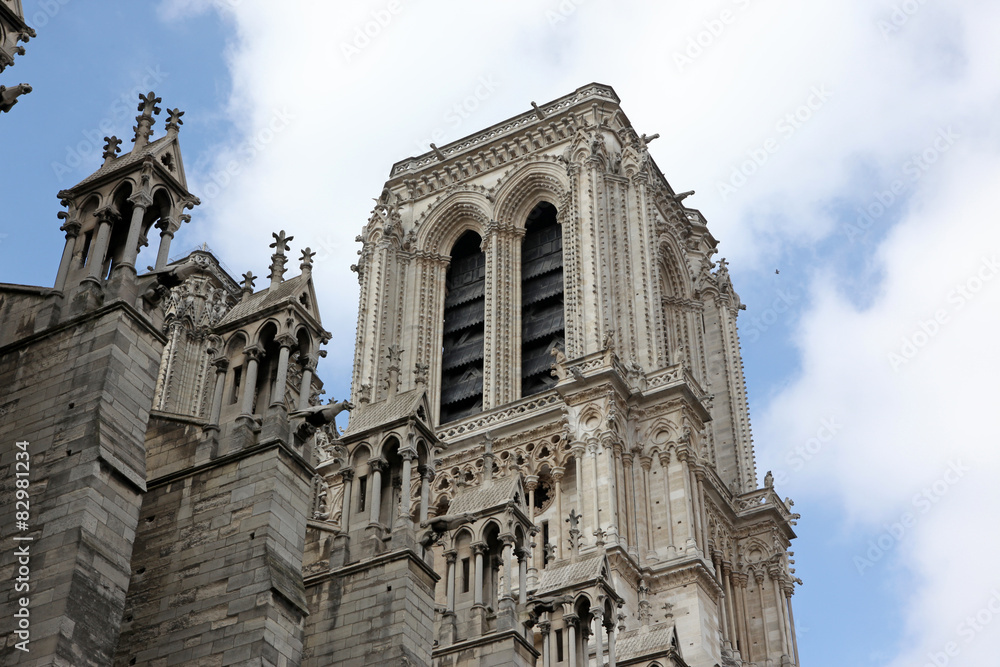 Cathedral Notre Dame de Paris is a most famous Gothic, Roman Cat