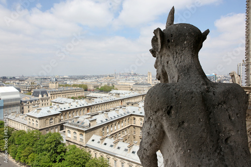 Notre Dame of Paris, famous of all Chimeras, overlooking the sky photo