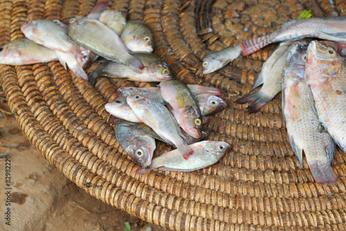 Pescado en el mercado photo