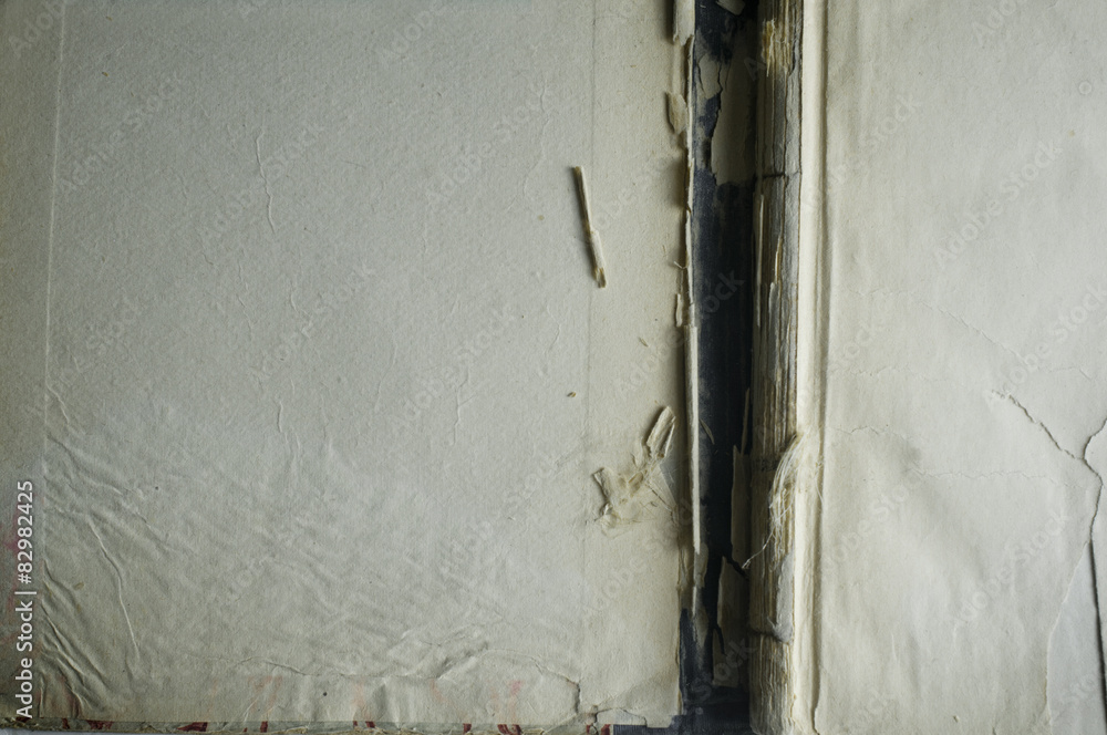 Antique book cover inside, opened, blank. Antique book cover inside, opened, blank.