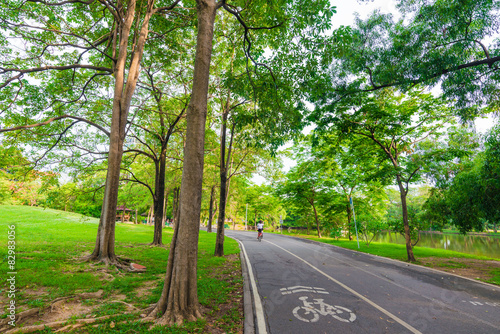 Canvas Print Bike lane and pathway in the Green Park