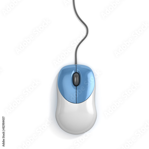 computer mouse top view