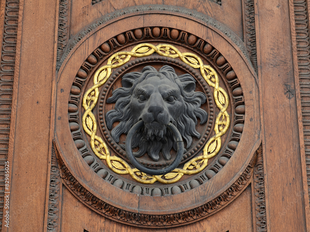 Tür mit Löwenkopf, türklopfer