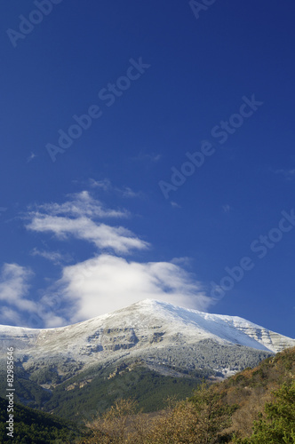 Moncayo