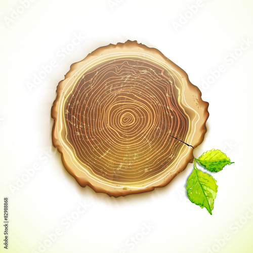 Vector drawing tree stump with leaves