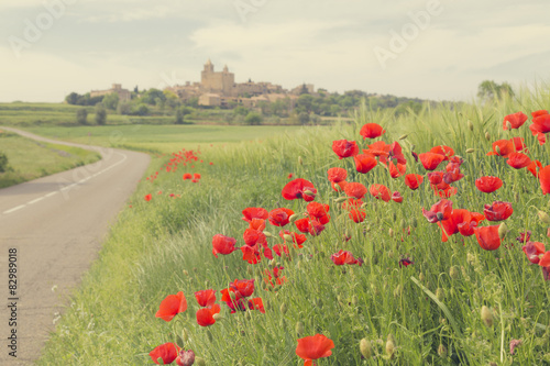 Red poppy flowers on a countryside road