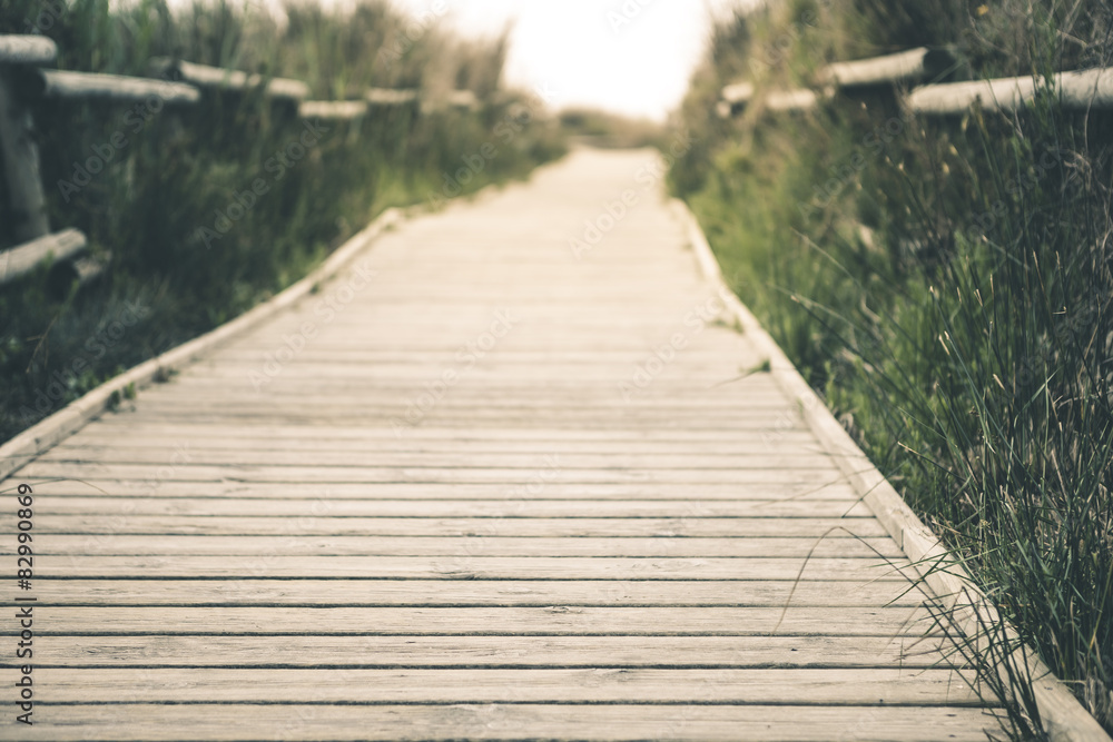 Fototapeta premium Wooden pathway
