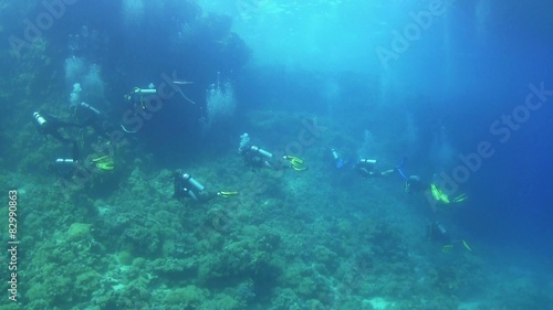 Wallpaper Mural Group of Divers Swims Over Coral Reefs, Red Sea
 Torontodigital.ca