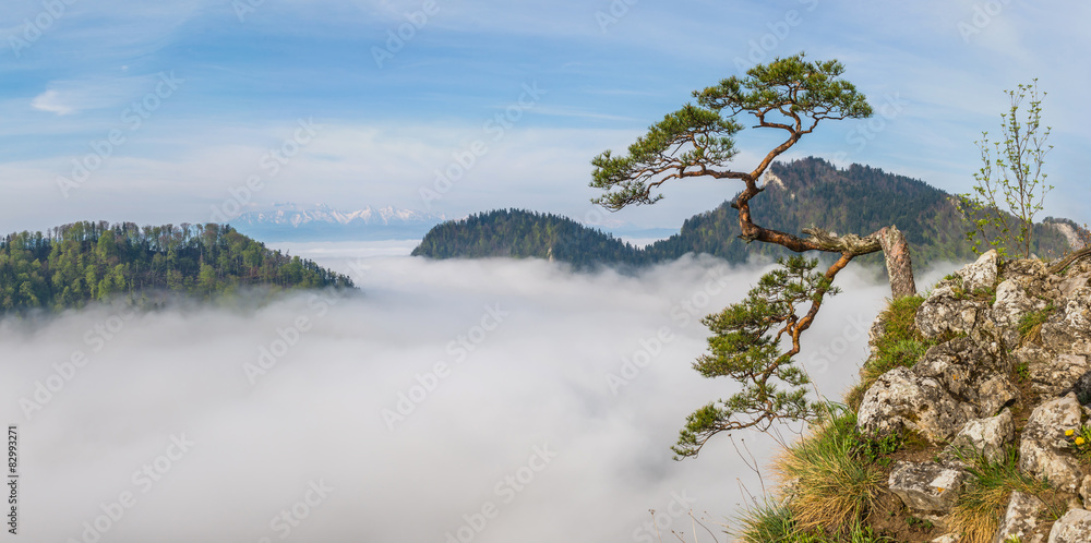 Fototapeta premium Sokolica Peak in Pieniny, Poland
