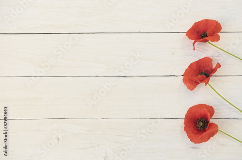 Fototapeta Naklejka Na Ścianę i Meble -  Drei Mohnblumen auf weißem Holzhintergrund