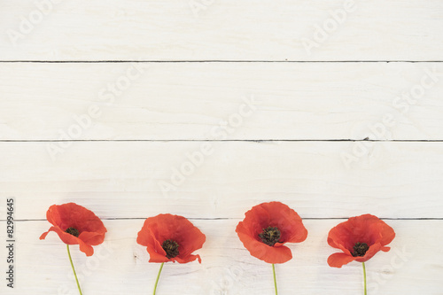 Fototapeta Naklejka Na Ścianę i Meble -  Mohnblumen mit weißem Hintergrund