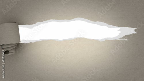 reveal cowhide paper to disclose something