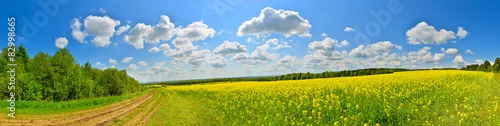 Obraz Wiosenne pole kwiatów