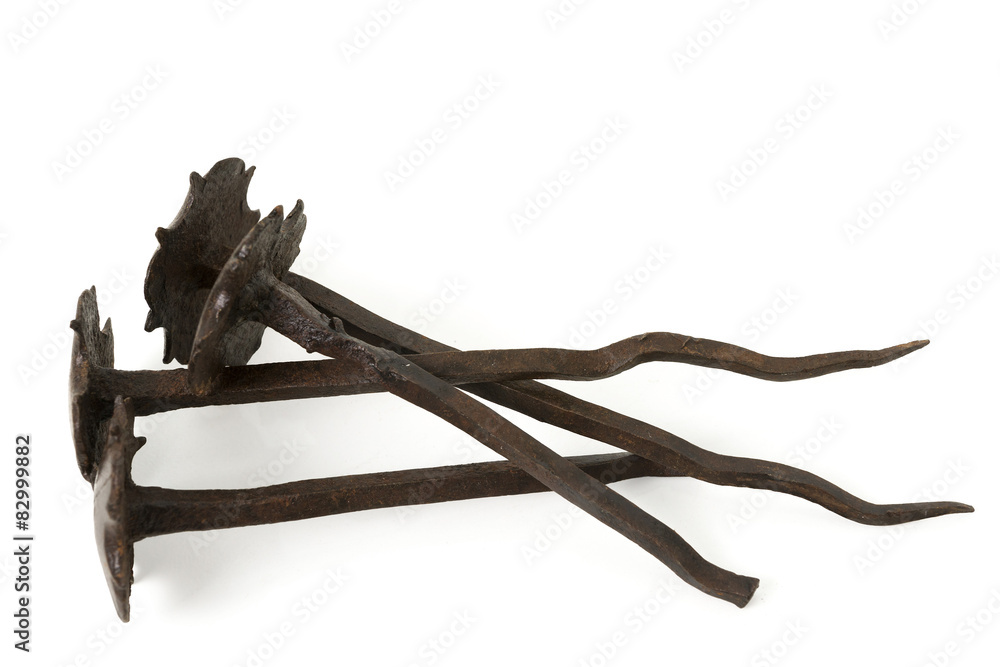 Obraz premium Old Iron Nails