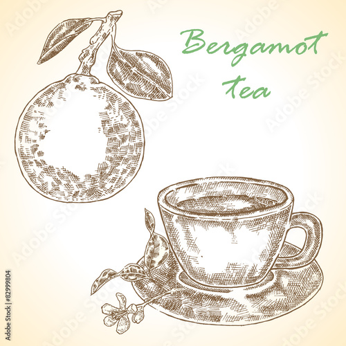 Highly detailed hand drawn bergamot. Vector  bergamot tea set