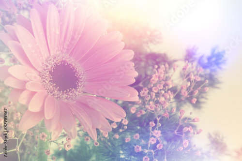 Fototapeta Naklejka Na Ścianę i Meble -  Retro Gerbera daisy image
