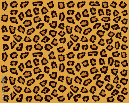Jaguar and leopard skin texture, vector