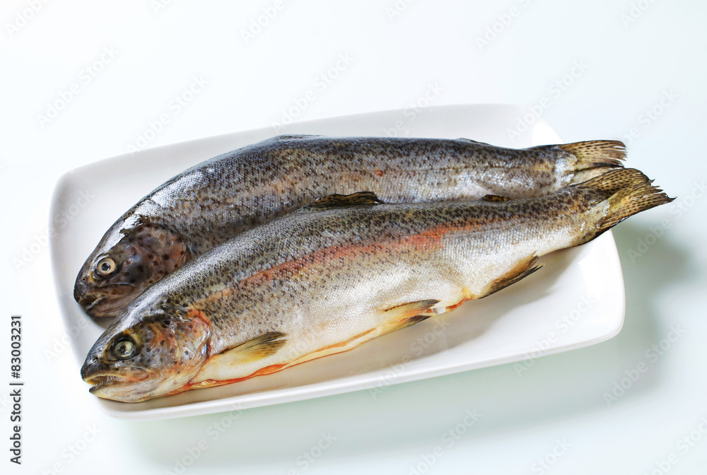 Two fresh trout