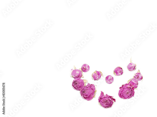 dried flowers on a white background isolated