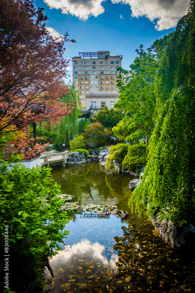 Skyscraper and pond at the Lan Su Chinese Garden in Portland, Or