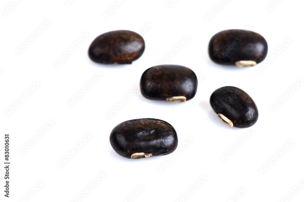 Mucuna pruriens DC., Seeds. Mucuna pruriens DC., Seeds.