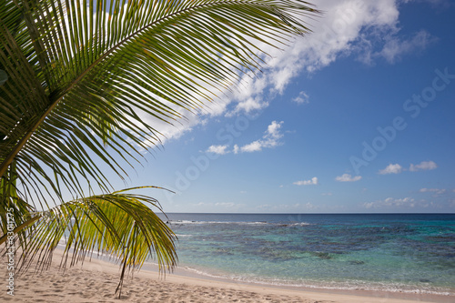 Fototapeta Naklejka Na Ścianę i Meble -  Strand mit Palmen in der Karibik
