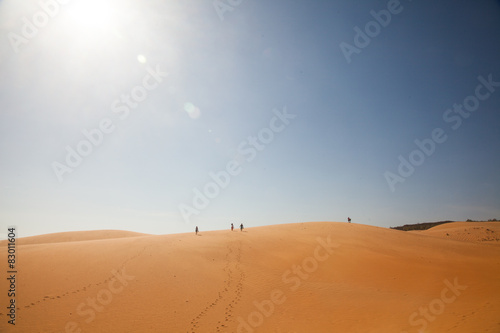 The traveler in the desert