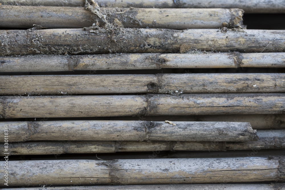 Fototapeta premium Ağaç Dokusu